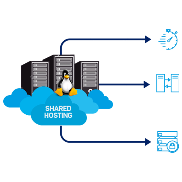Shared Hosting Package